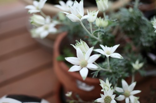 blog_logo